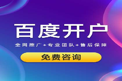 网络推广秘籍：竞价排名成功案例集锦